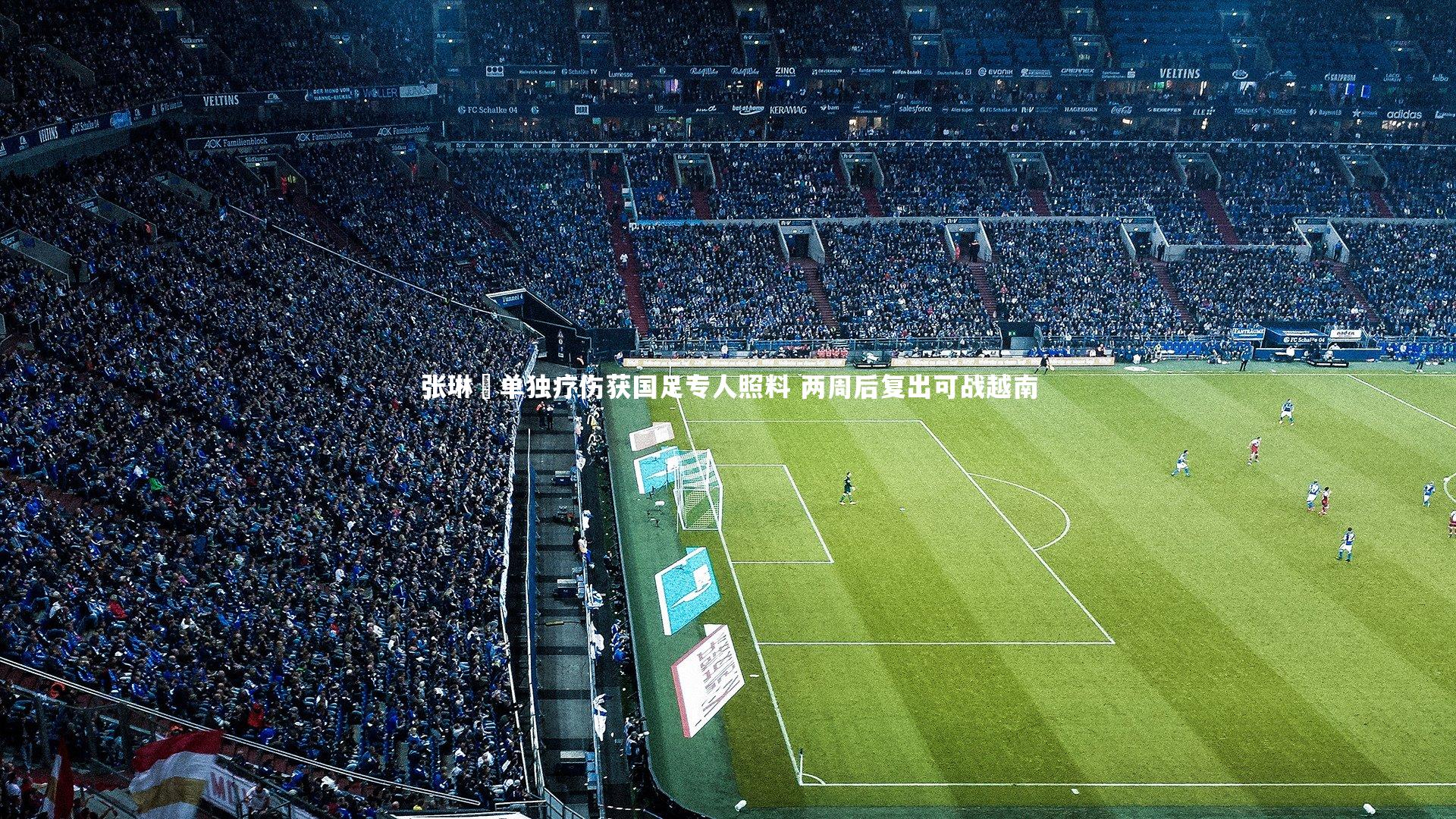 张琳芃单独疗伤获国足专人照料 两周后复出可战越南